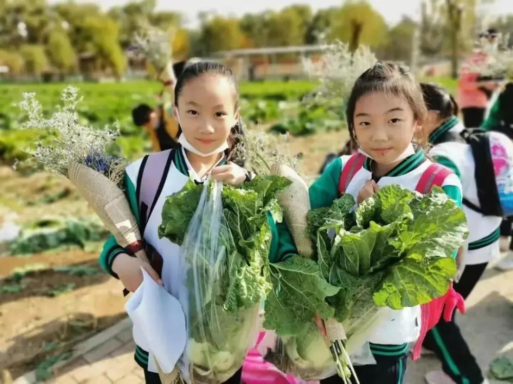 教育部发文!将组织召开全国中小学劳动教育现场推进会