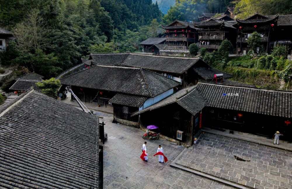 华中科技大学教授张良臬先生,盛赞彭家寨为土家吊脚楼群的"头号种子