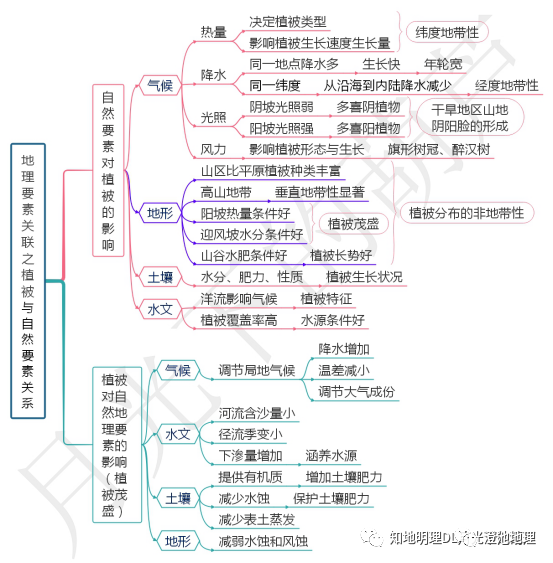 思维导图:植被与自然地理要素关系&绿地作用&森林的保护和开发