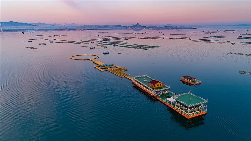 桑沟湾海洋牧场,吃喝玩乐