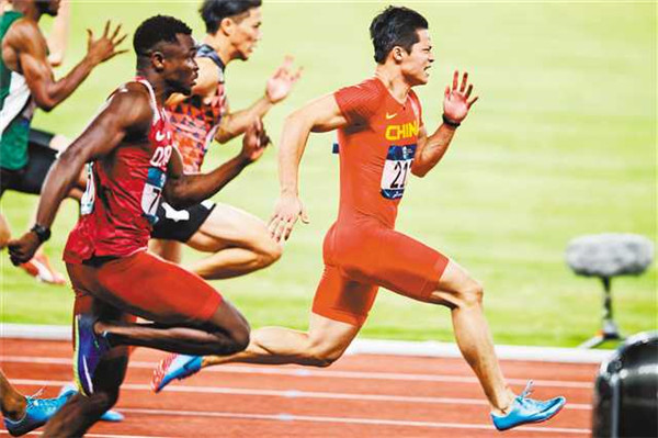 奇怪的知识:从苏炳添破纪录谈基因的多样性