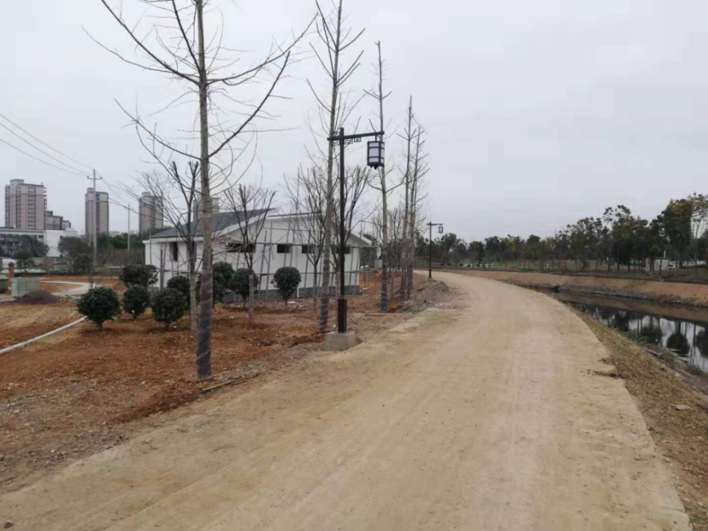 又是溢价封顶!嵊州崇仁一宗商住地块成功出让