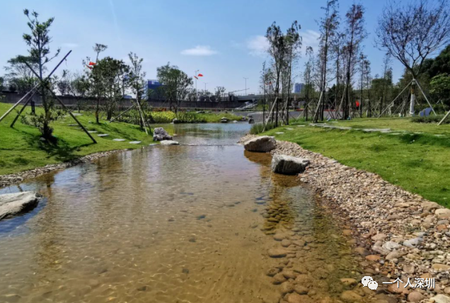 光明楼村湿地公园