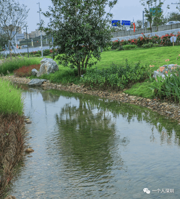 光明楼村湿地公园