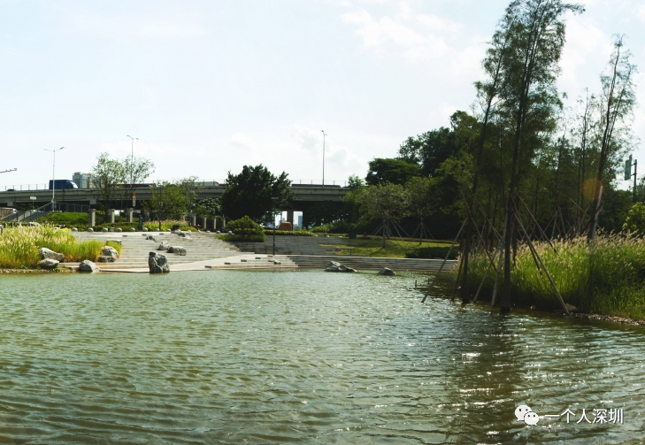 光明楼村湿地公园