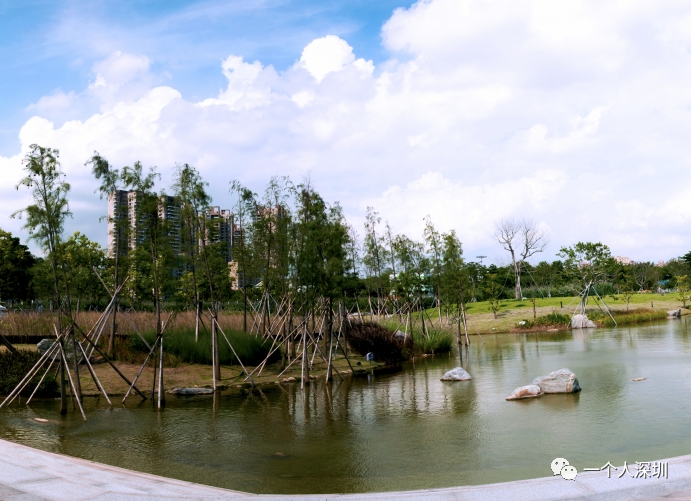 光明楼村湿地公园