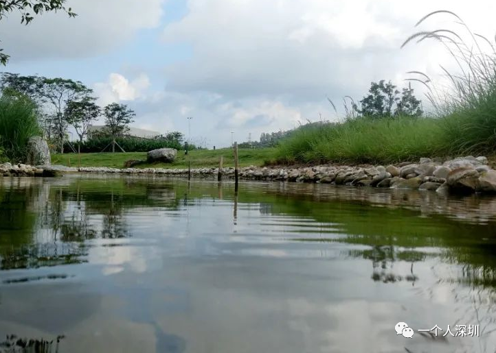 光明楼村湿地公园