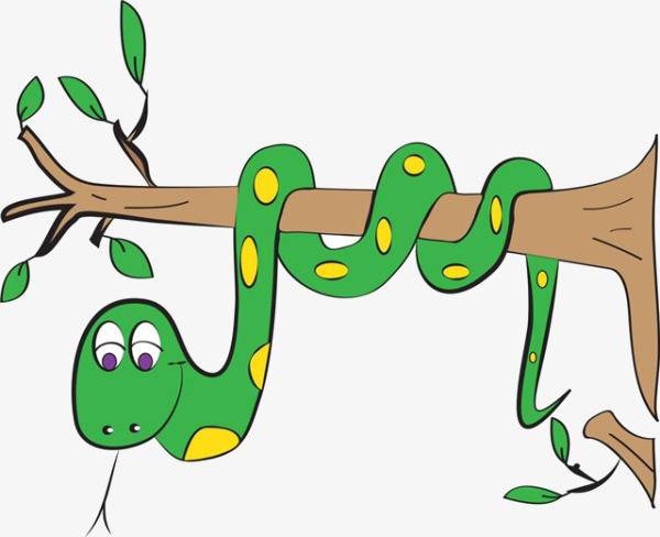 毒蛇为何惧怕菜花蛇?
