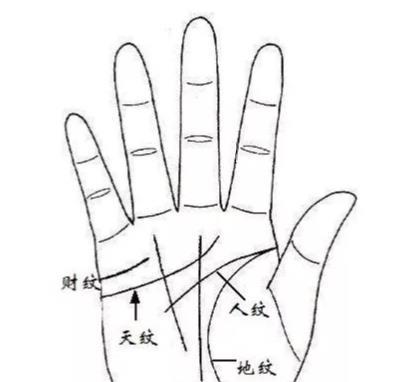 伸出我们的双手,在手掌上一般可以找到以下几条纹线.