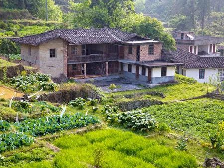 我们能在农村自留地上建房吗