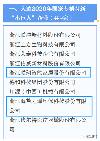 今天,海盐一批数字经济和制造业领域的先进企业受到市里表彰!