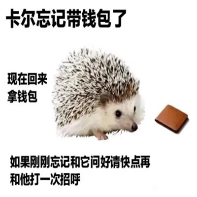 表情包:刺猬卡尔表情包大全