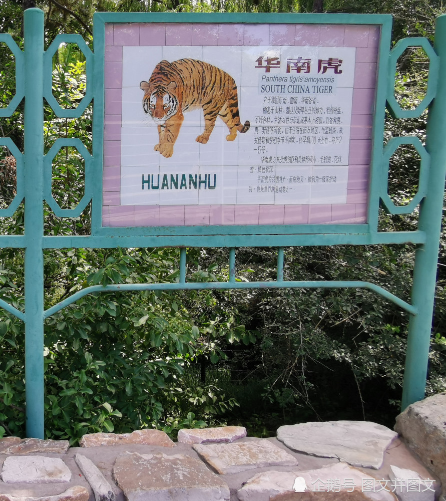 猜猜北京动物园这情况简介标识牌的历史,少说也得有30