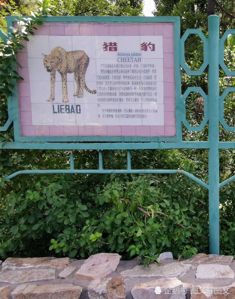 猜猜北京动物园这情况简介标识牌的历史,少说也得有30