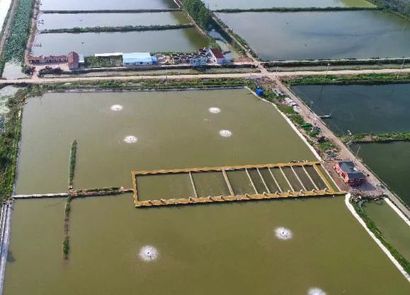 水产养殖池塘溶氧知多少?