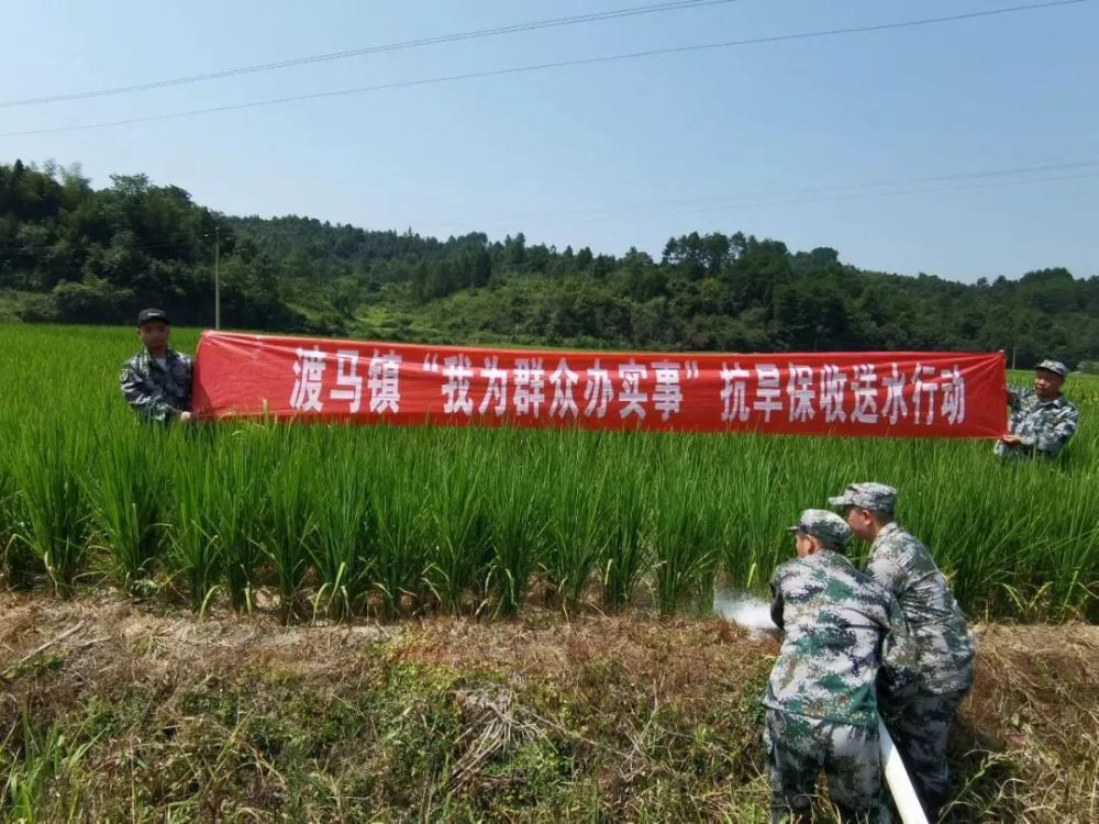 【学党史 办实事】天柱县渡马镇专职消防队抽水抗旱,为农排忧!