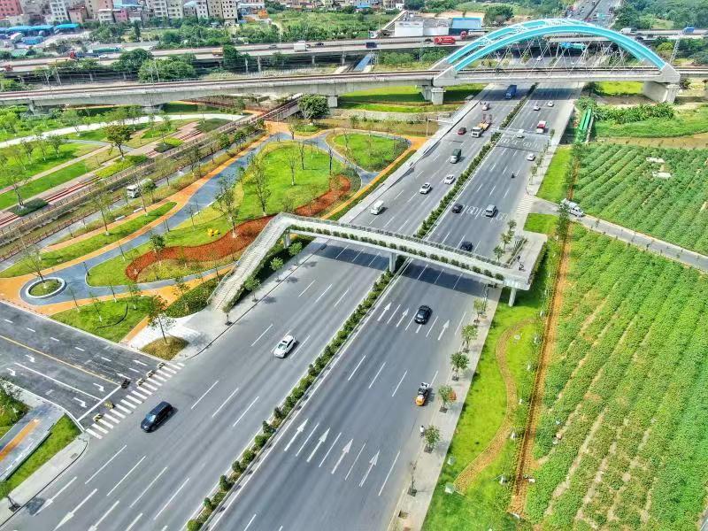 道路沿线皆风景!白云大道太和段完成整治提升,开启"美颜模式"