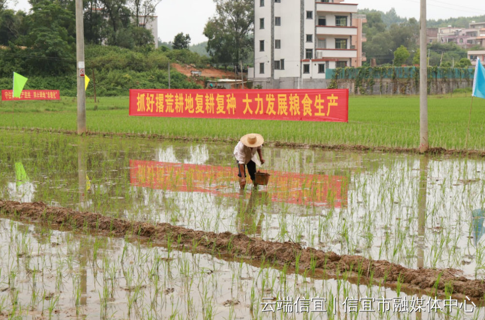 信宜:吹响撂荒耕地复耕复种号角