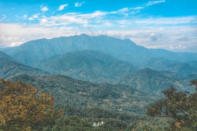 赵公山,青城山最高峰,海拔2434米∨丈人峰山不在高,有仙则名-离开老