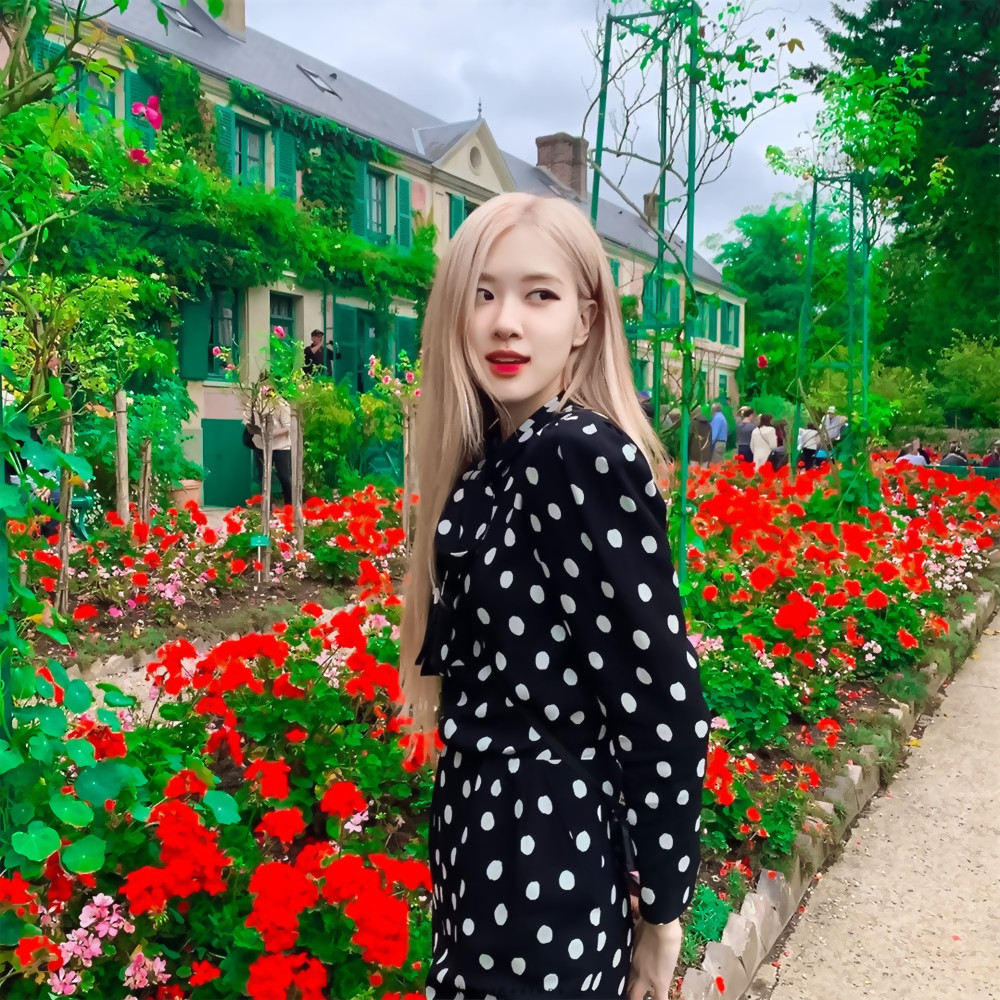 头像blackpink朴彩英rose