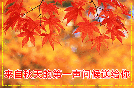 2021立秋祝福 立秋图片 暖暖的牵挂,满满的第一份祝福