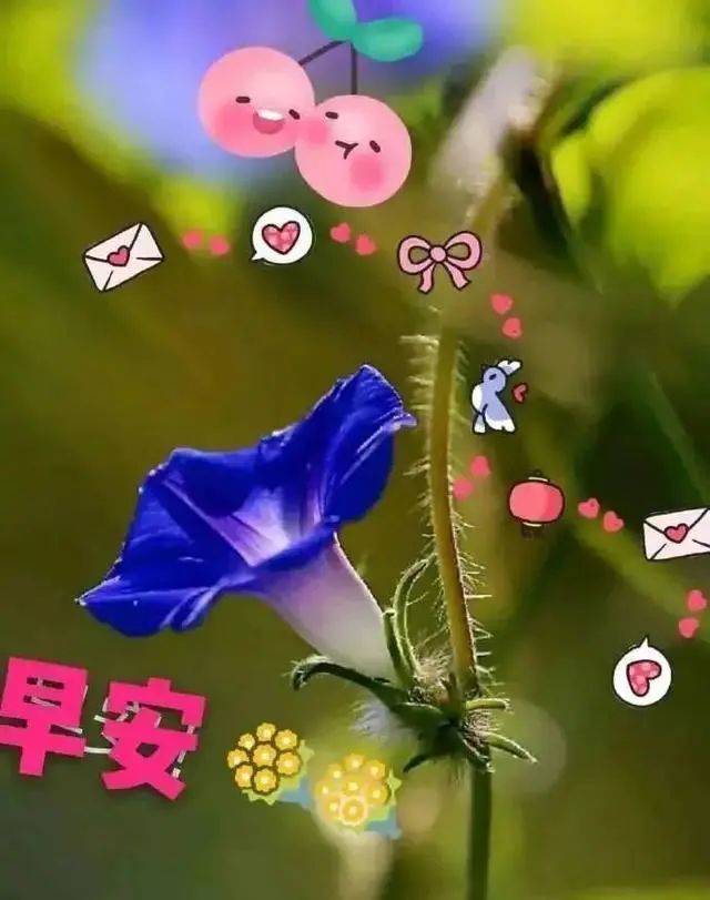 早上好朋友,最新版早安短信问候祝福语大全 最美早晨