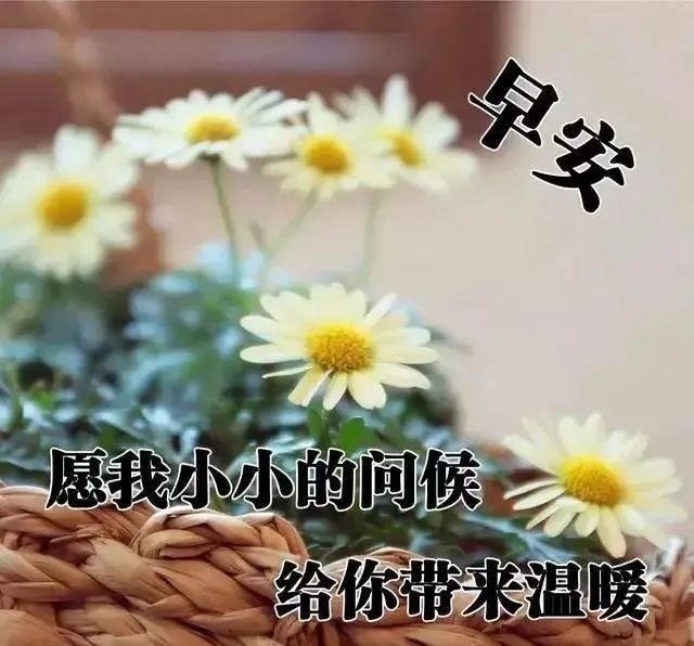 2021年9月1日特别漂亮早上好问候图片,最新早上好图片