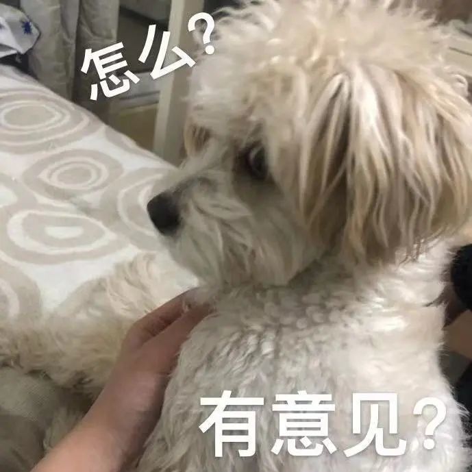 表情包你是不是外面有狗了