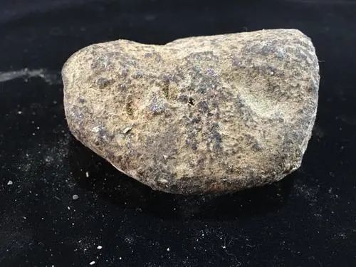 世界上最贵的粪便是什么?龙涎香,一斤上百万,比黄金贵