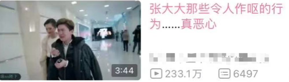 被全网"集资暴打"的张大大,到底做错了什么?