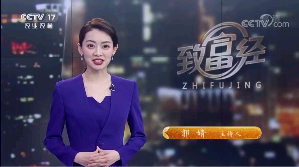 主持人:郭婧,谢映玲,刘栋栋等