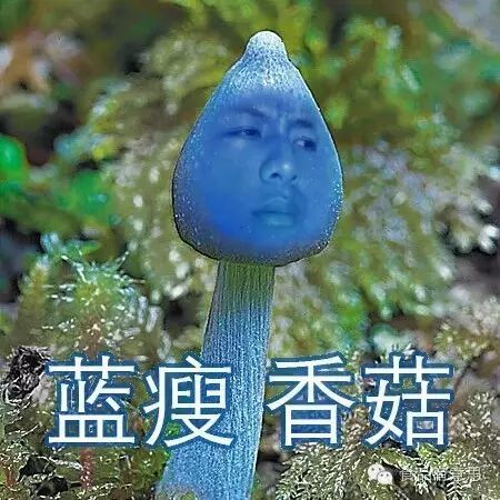 这样吃香菇"蓝瘦"远离你