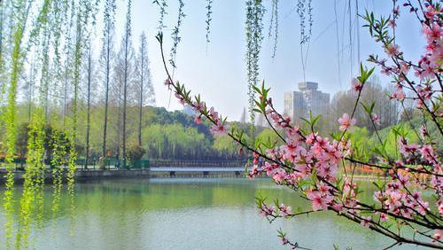 宋祁《玉楼春·春景》,誉满词坛的名作,精华词句备受王国维推崇