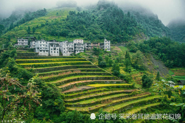 自驾在路上,小众风景:从重庆石柱县到彭水县郁山镇一