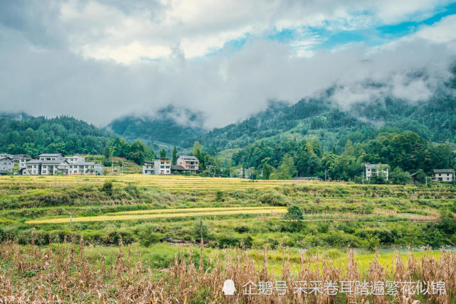 自驾在路上,小众风景:从重庆石柱县到彭水县郁山镇一路山水长卷