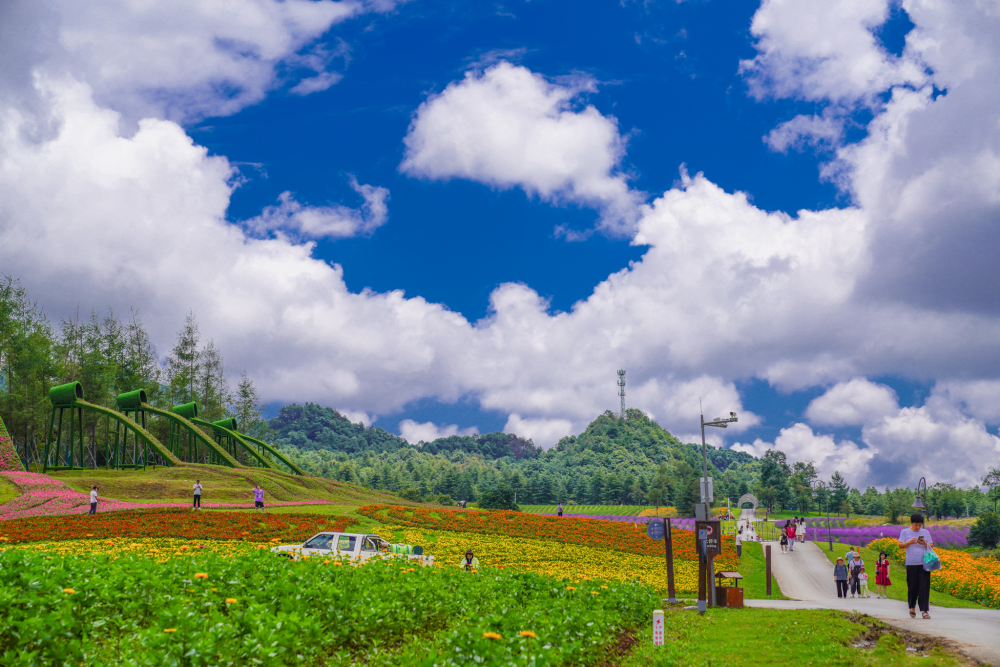 炎炎夏日 巫溪红池坝景区邀您避暑纳凉