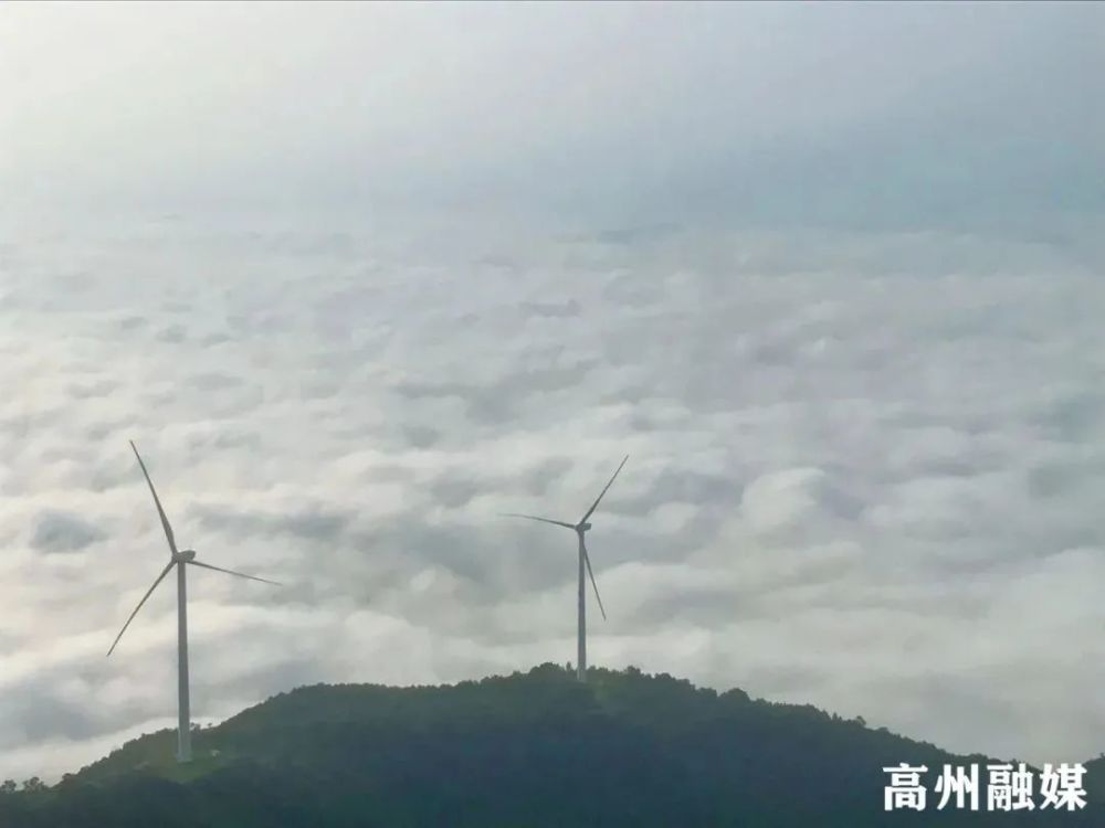 到高州根子镇看浮山岭云海!美呆了!