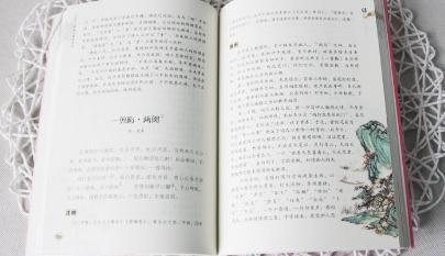 连夺4期中国诗词大会擂主 洛阳13岁才女邓雅文 家庭教育很重要
