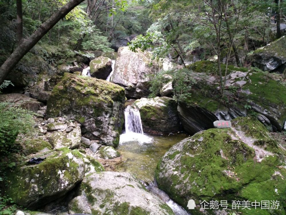 游览牛背梁景区,溪水清澈见底,古树古藤随处可见,风景