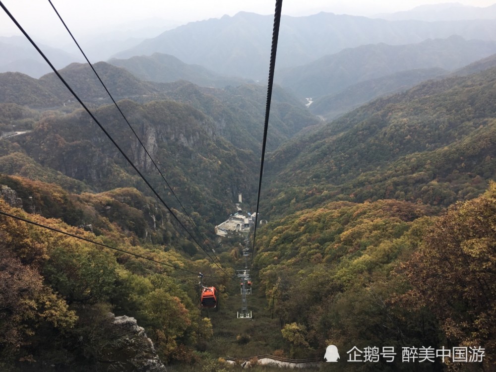 游览牛背梁景区,溪水清澈见底,古树古藤随处可见,风景