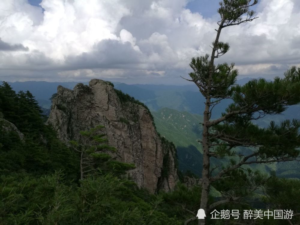 游览牛背梁景区,溪水清澈见底,古树古藤随处可见,风景