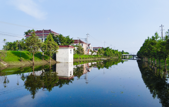 盛夏时节,在江苏省泰州市姜堰区张甸镇严唐村,一副"万象更新"的蓬勃