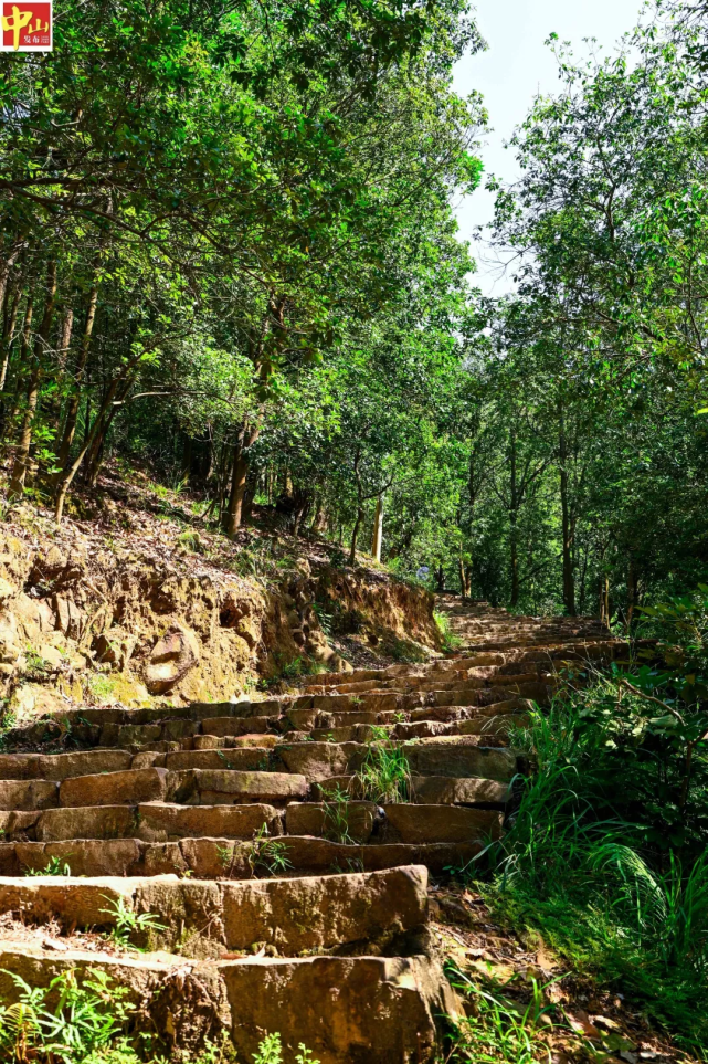 dajian mountain forest park hiking trail大尖山森林公园登山径