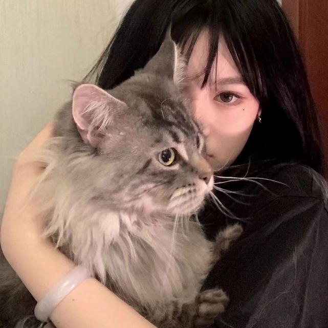 【第51期】人类高质量女头