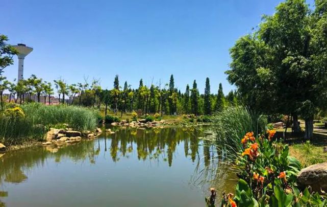呈贡的夏日最适合去踏青啦 约上三五好友避暑乘凉 去看一看湿地公园