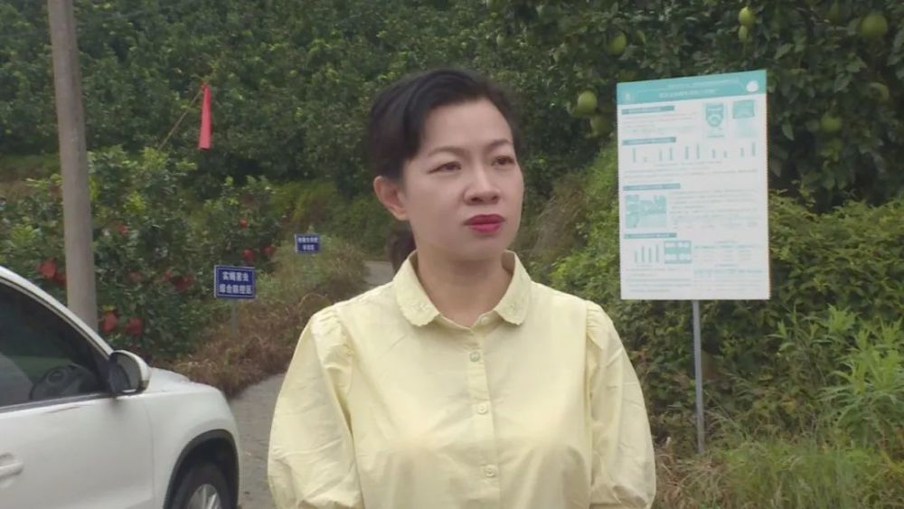 【调研】蔡绿璇到霞寨开展疫情防控及水环境整治工作调研