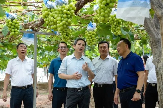 杭迎伟赴临港新片区万祥镇,书院镇和泥城镇开展调研