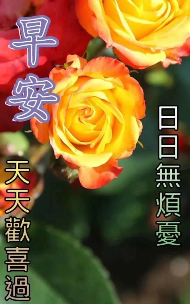 8月7日立秋最新早上好问候动态表情图片 暖心早上好图片表情祝福语录