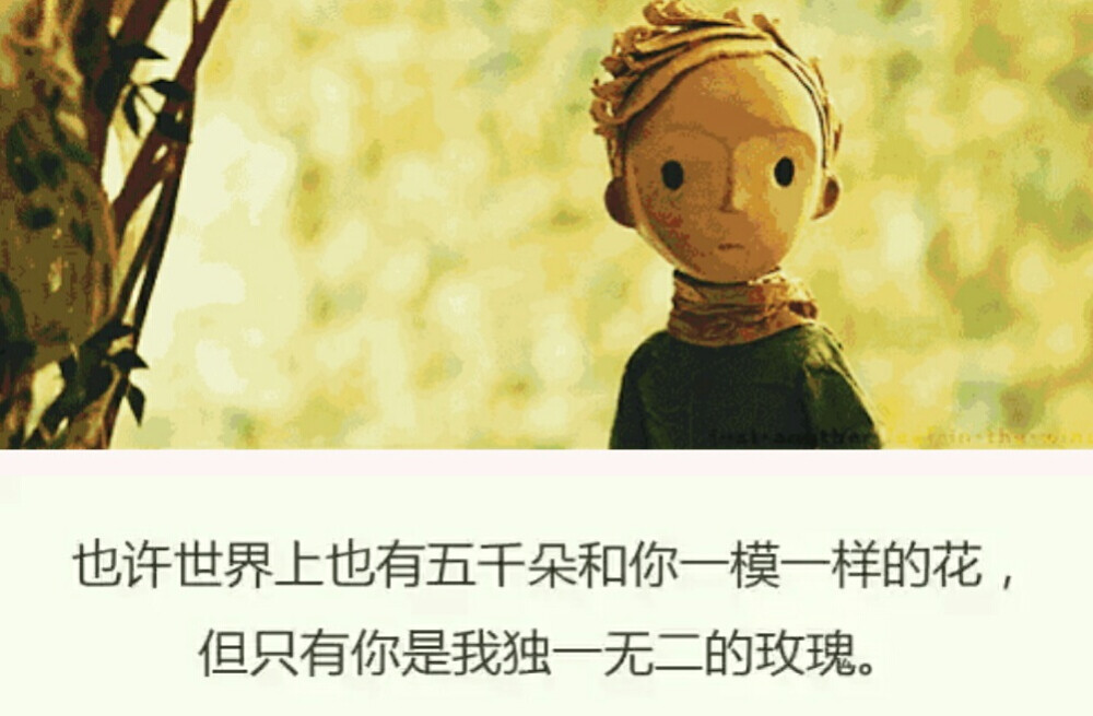 小王子语录整理合集