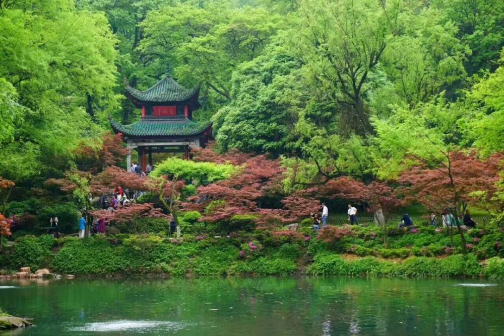 岳麓山风景区